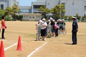 IMG_8461