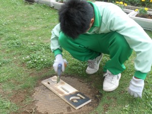 DSCN9053