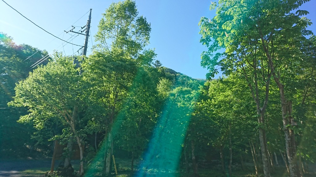 1496354069966-320006654