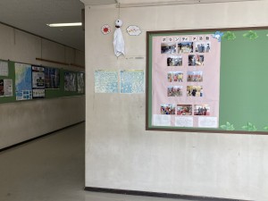 IMG_4387