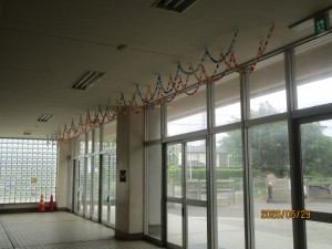 IMG_4685
