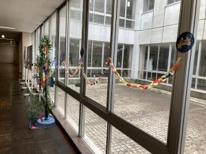 IMG_4501