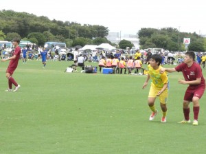P1100286 P1100286