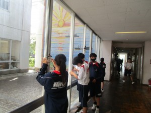 IMG_4812