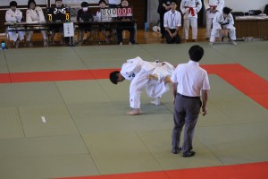 IMG_8222