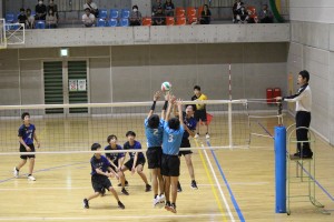 IMG_8237