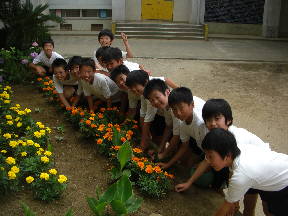 花壇の草取りをする６年生のみなさん