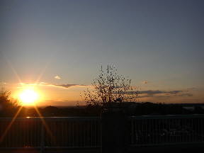 屋上から見た夕日