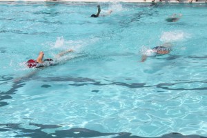 IMG_4410 IMG_4410