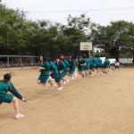 DSC07282