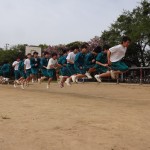 DSC07285