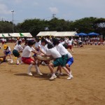 DSC07531