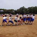 DSC07532