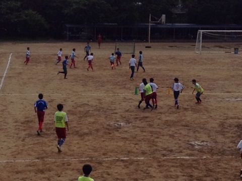 20140701-083908-31148741.jpg