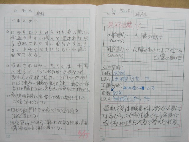 ６年生 鹿嶋市立高松小学校