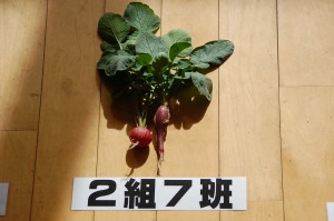 ２－⑦